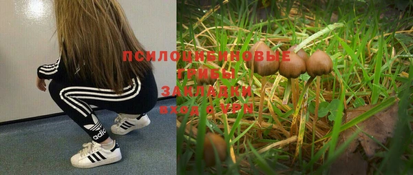 каннабис Кулебаки