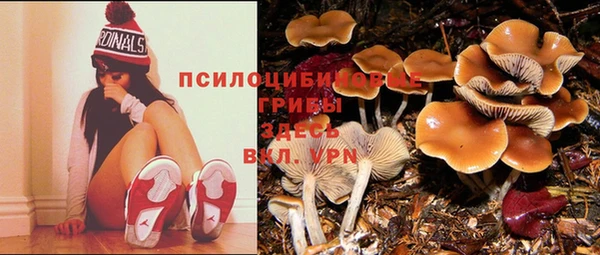 кокаин премиум Кукмор